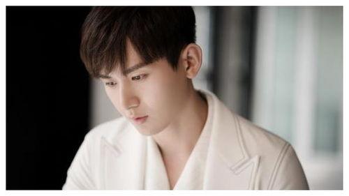 吃瓜娱乐圈成毅,瓜田里的娱乐圈新秀